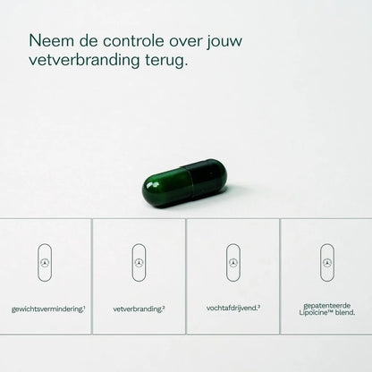 Insentials Fat Burner (30 caps)